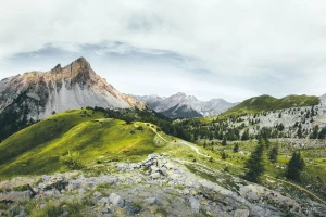 Kto Jeszcze Chce wdrożyć eudr?